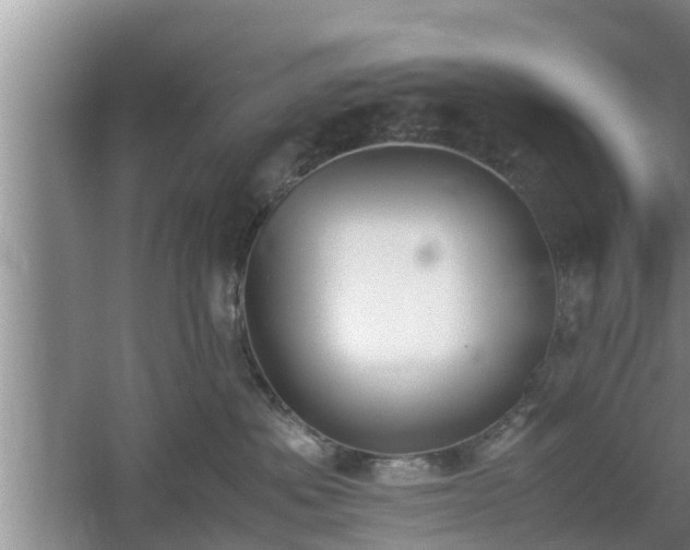 X0000061720525200512050910