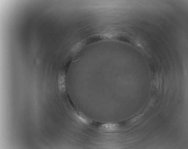 X0000061720526200512050910