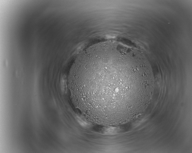 X0000061720527200512050910