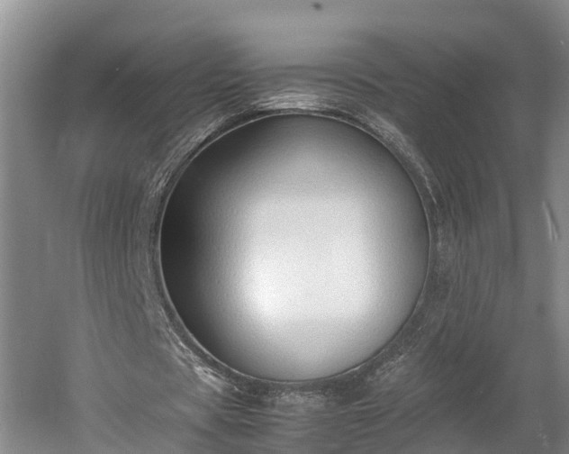 X0000061720529200512050909