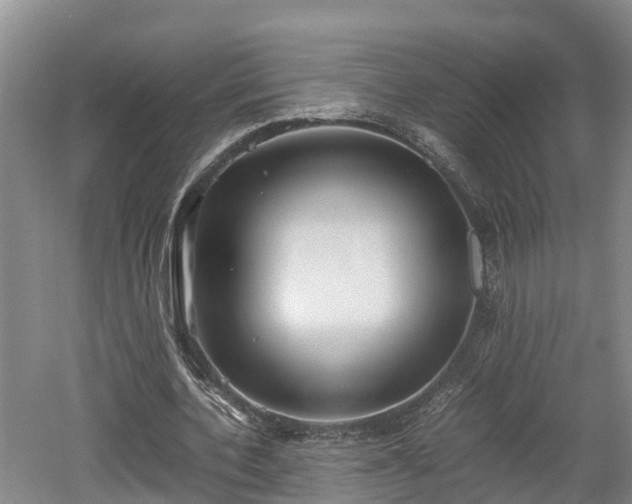 X0000061720532200512050909