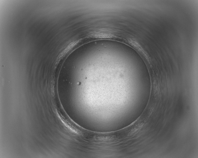 X0000061720533200512050909