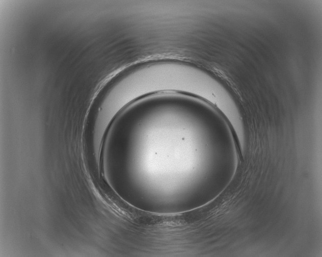 X0000061720536200512050909