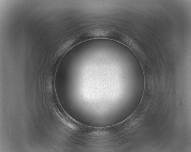 X0000061720537200512050909