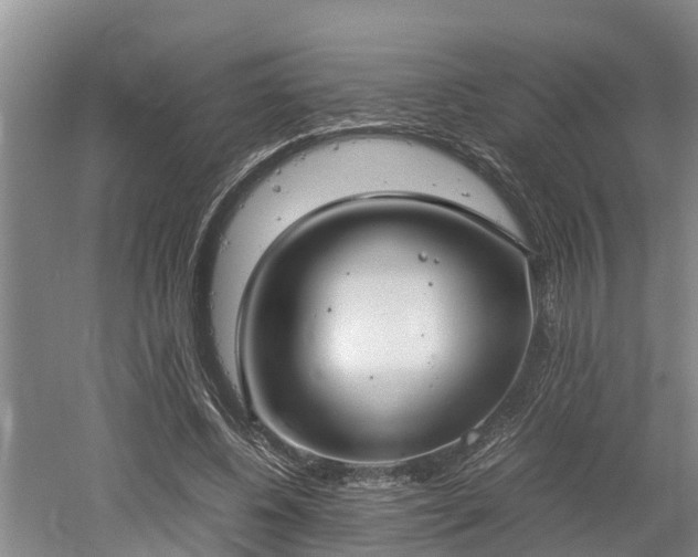 X0000061720540200512050909