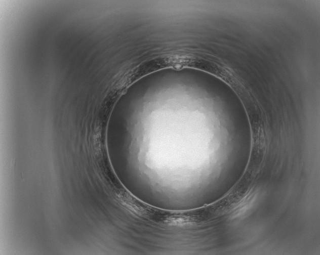 X0000061720557200512050909