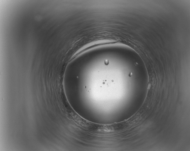 X0000061720559200512050909