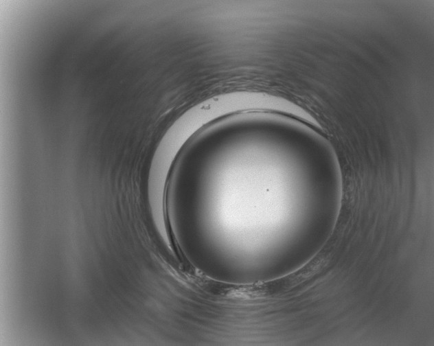 X0000061720568200512050909