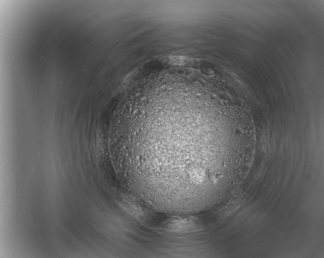 X0000061720569200512050909