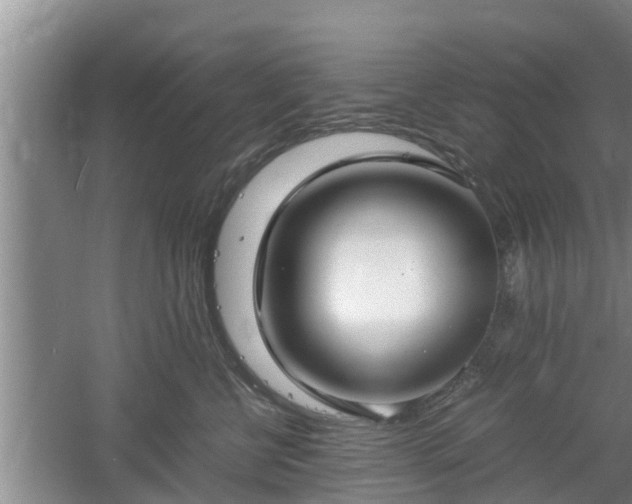 X0000061720570200512050910