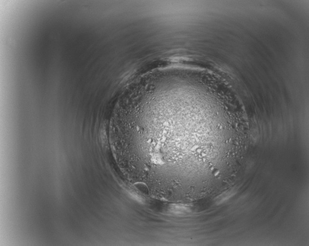 X0000061720573200512050910