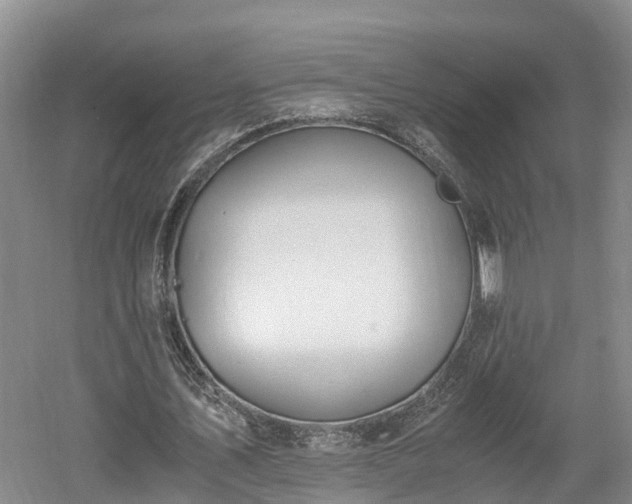 X0000061720579200512050909