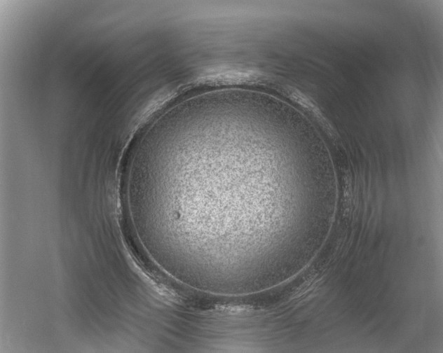 X0000061720582200512050909