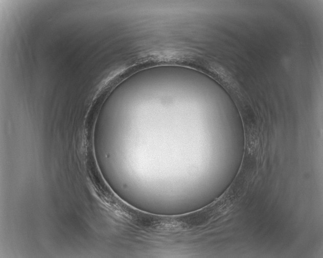 X0000061720583200512050909