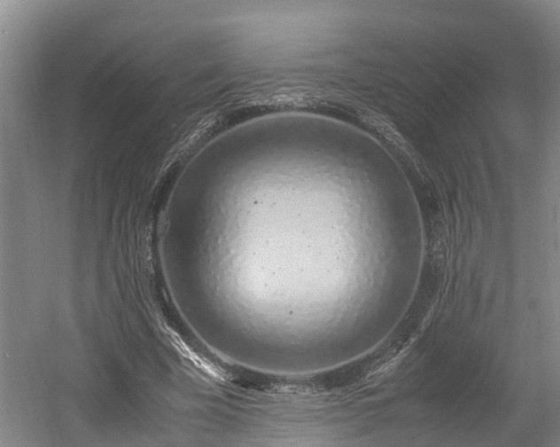 X0000061720585200512050909