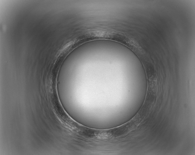 X0000061720587200512050908