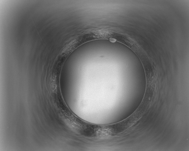 X0000061720599200512050908