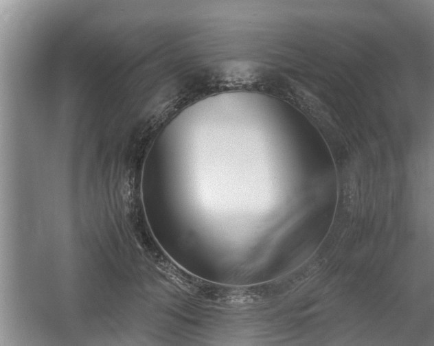 X0000061720608200512050908