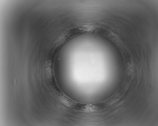 X0000061720612200512050908