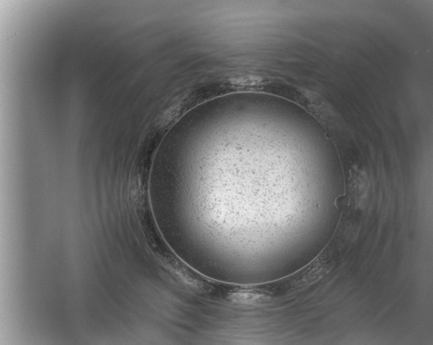 X0000061720614200512050908