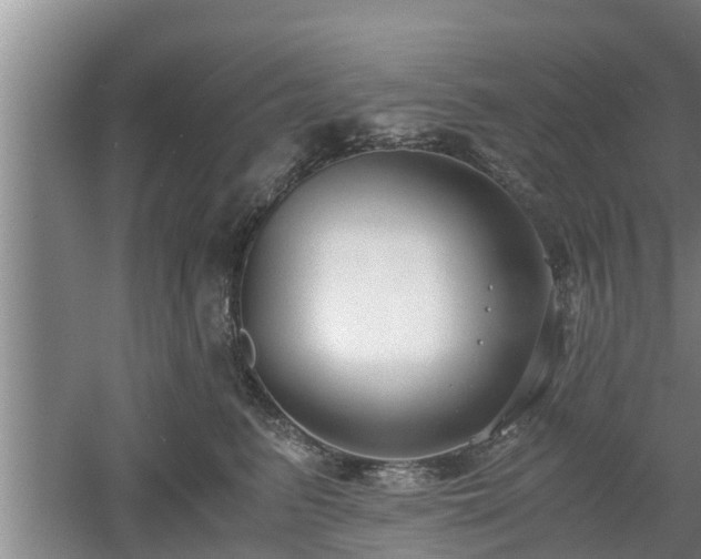 X0000061720615200512050908