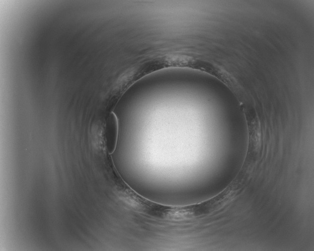 X0000061720619200512050908