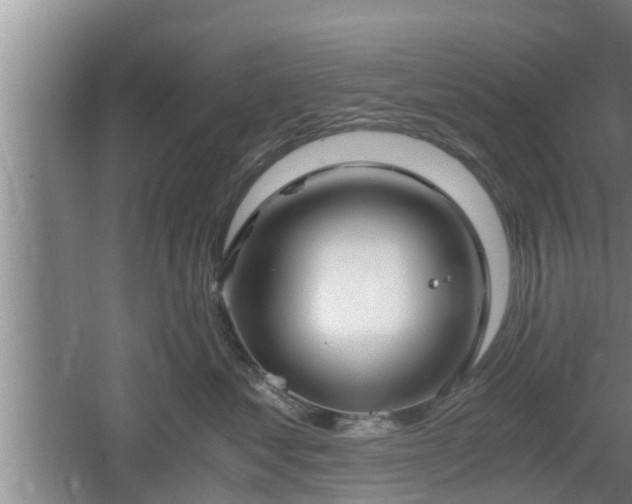 X0000061720621200512050908