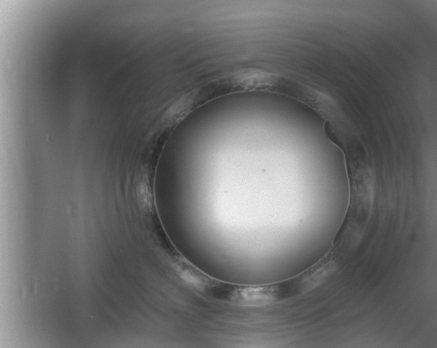 X0000061720622200512050908