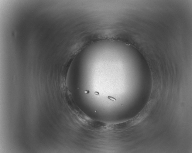 X0000061720624200512050908