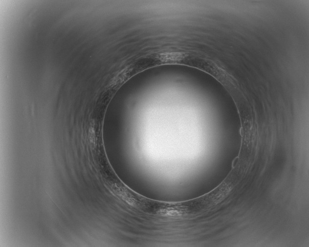 X0000061720655200512050908