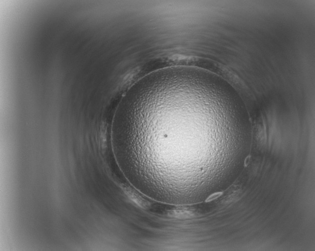 X0000061720668200512050908