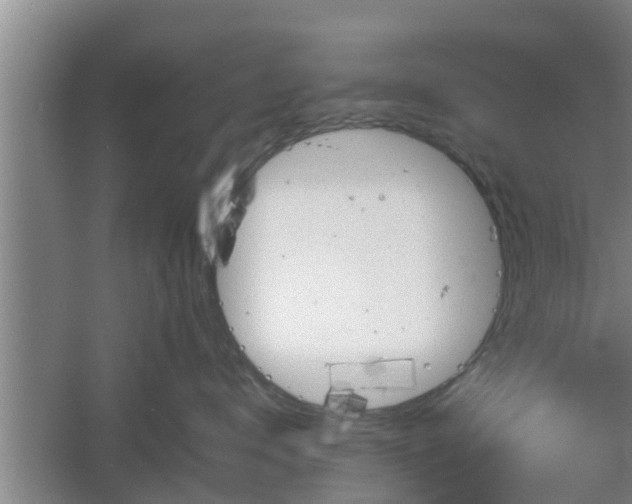 X0000061720672200512050908