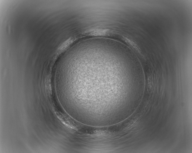 X0000061720682200512050907