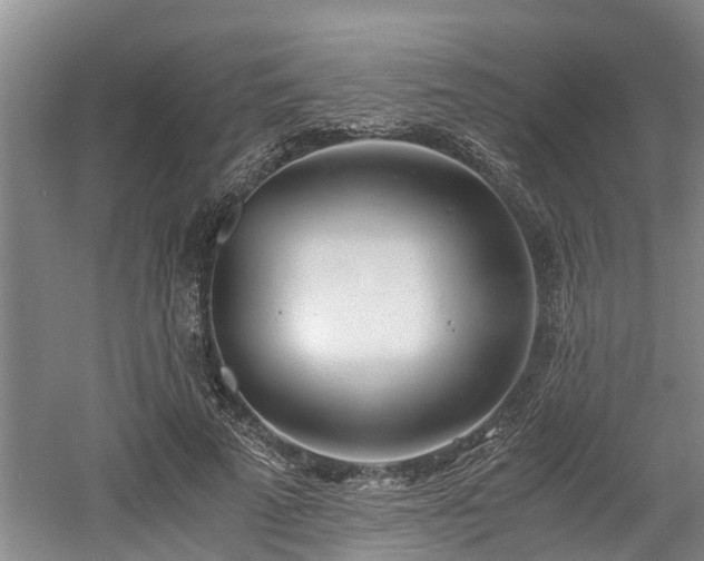 X0000061720689200512050907
