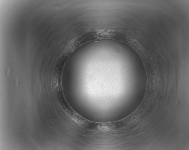 X0000061720706200512050906