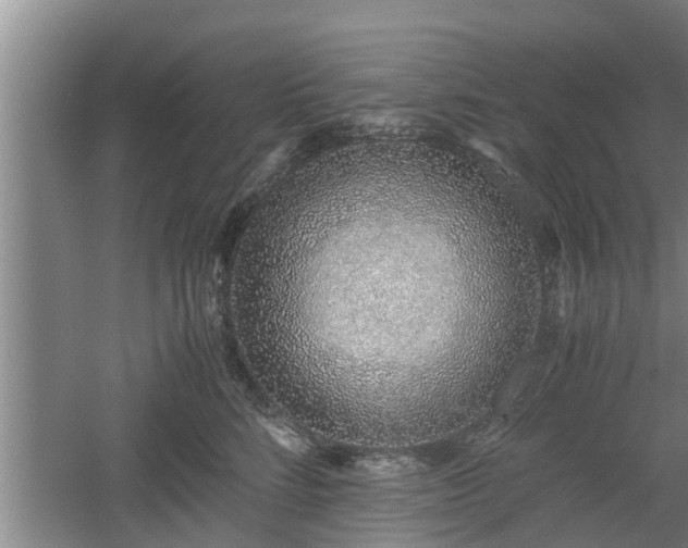 X0000061720712200512050906