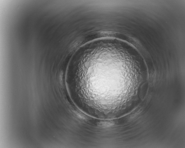 X0000061720765200512050906