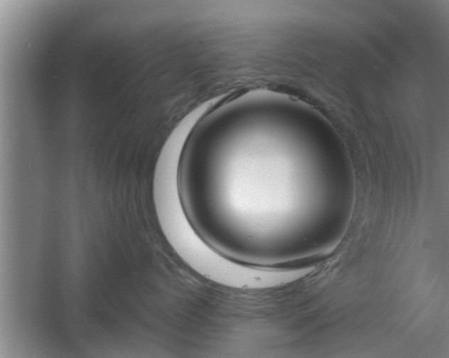 X0000061720768200512050906