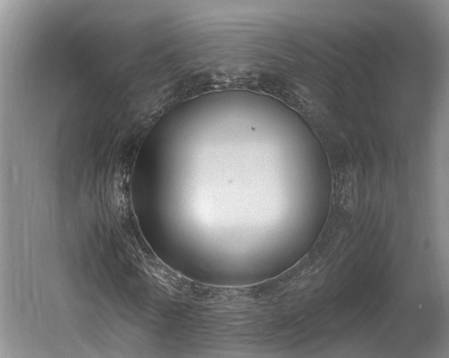 X0000061720770200512050905