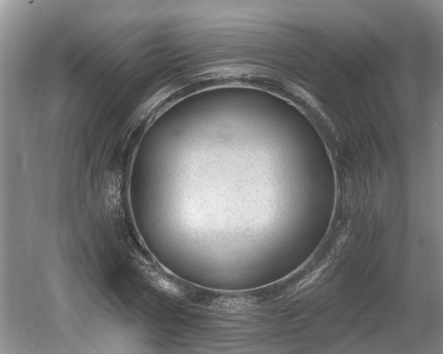 X0000061720778200512050905