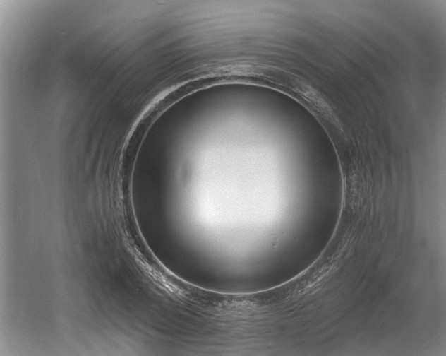 X0000061720784200512050905