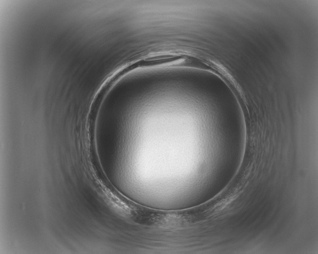X0000061720787200512050905