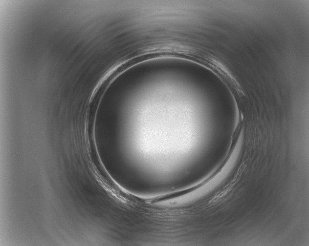 X0000061720788200512050905