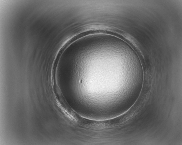 X0000061720791200512050905