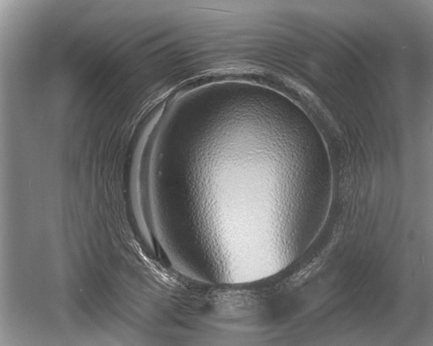 X0000061720833200512050904