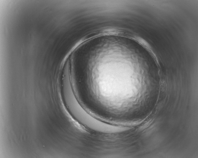 X0000061720859200512050904