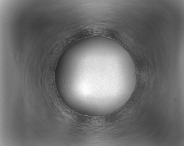 X0000061720865200512050904