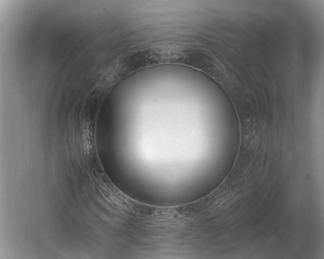 X0000061720866200512050904