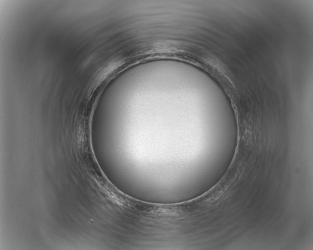 X0000061720874200512050904