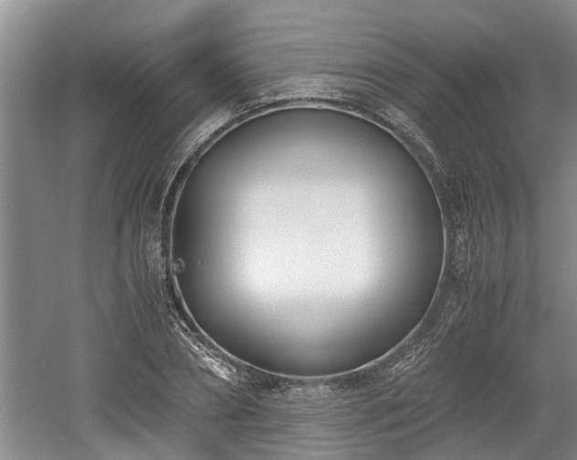 X0000061720882200512050903
